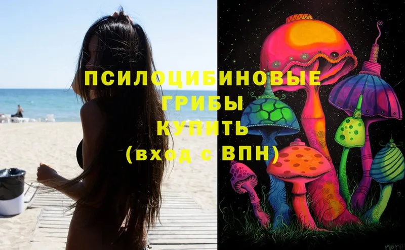 Галлюциногенные грибы Magic Shrooms  Завитинск 